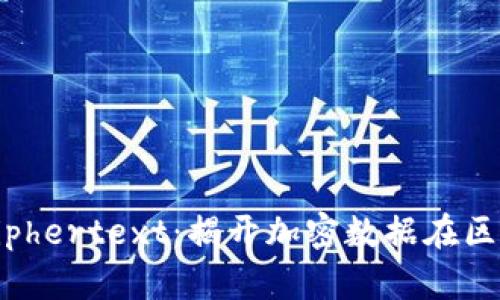 区块链中的Ciphertext：揭开加密数据在区块链中的秘密