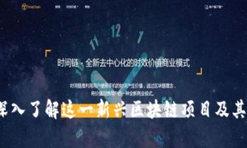 飞亚币：深入了解这一新兴区块链项目及其应用前景