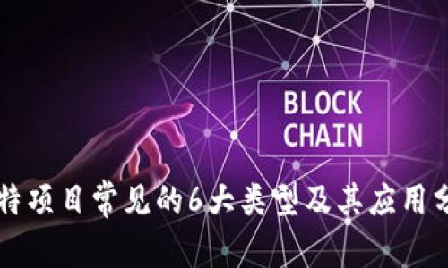 比特项目常见的6大类型及其应用分析