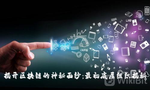 揭开区块链的神秘面纱：最初底层组织揭秘