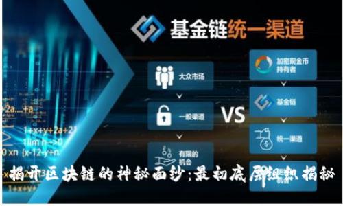揭开区块链的神秘面纱：最初底层组织揭秘