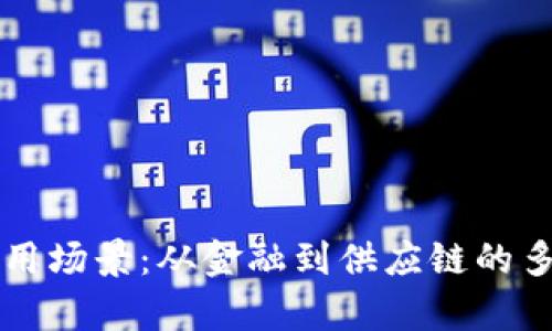 区块链的实用场景：从金融到供应链的多元应用解析