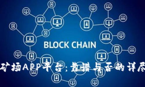 比特矿场APP平台：靠谱与否的详尽剖析