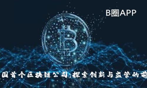 韩国首个区块链公司：探索创新与监管的前沿