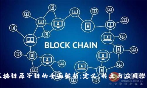 区块链原子链的全面解析：定义、特点与应用潜力