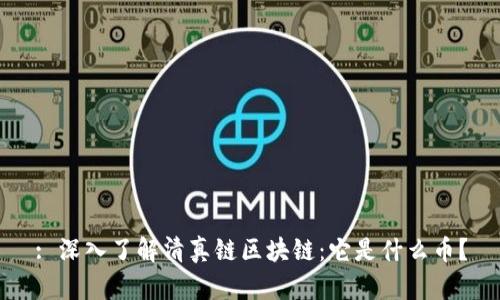 : 深入了解清真链区块链：它是什么币？