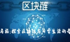 区块链马桶：探索区块链