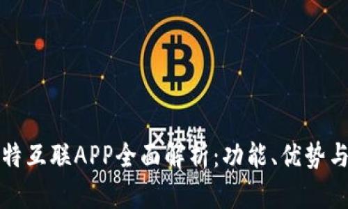 飞歌卡比特互联APP全面解析：功能、优势与用户体验