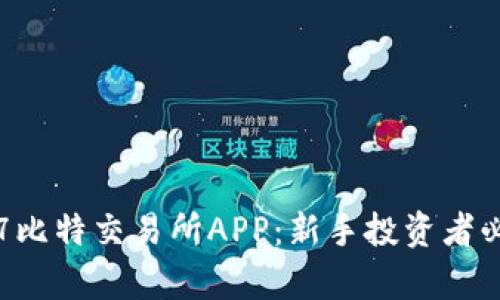 全面解析7比特交易所APP：新手投资者必备的指南