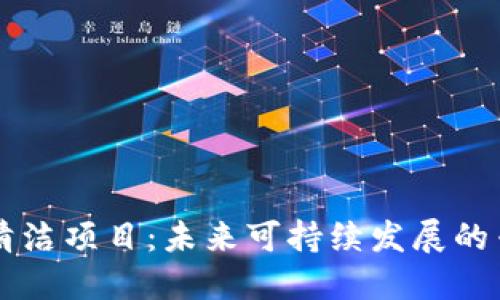 区块链清洁项目：未来可持续发展的专业探索