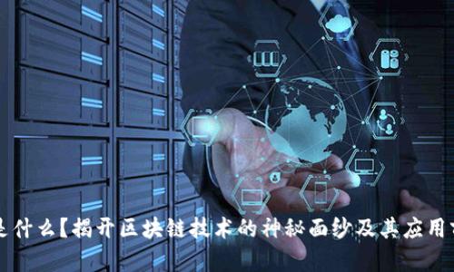 区块链是什么？揭开区块链技术的神秘面纱及其应用前景分析