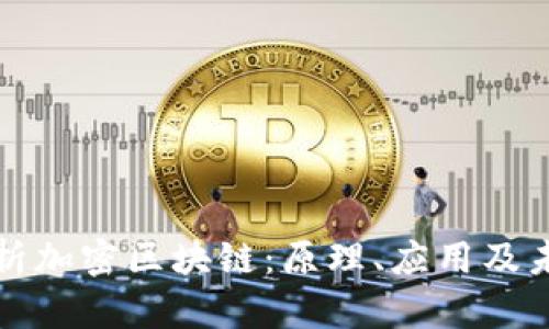全面解析加密区块链：原理、应用及未来发展