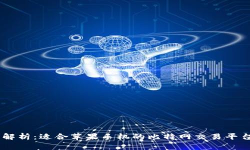 全面解析：适合苹果手机的比特网交易平台APP