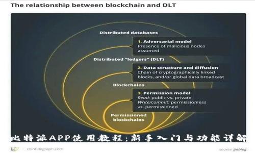 比特派APP使用教程：新手入门与功能详解