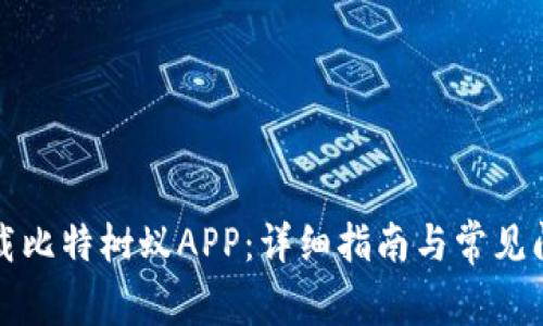 如何下载比特树蚁APP：详细指南与常见问题解答